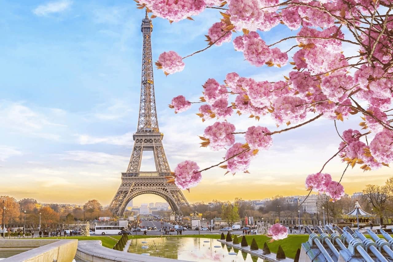 Paris khoác lên mình vẻ đẹp dịu dàng khi mùa xuân ghé đến
